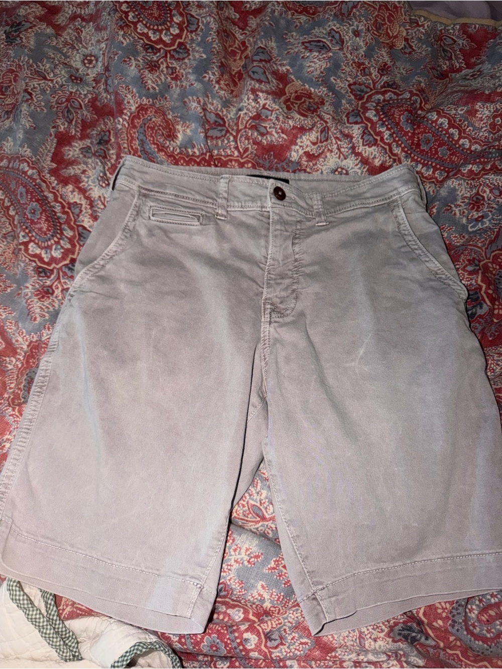 American Eagle Outfitters Light Gray Flat Front Chino Shorts